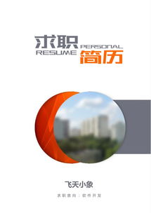 計(jì)算機(jī)軟件開發(fā)簡歷模板與撰寫指南